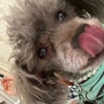 Profile Picture of ANNA (@anna._.bakery) on Instagram