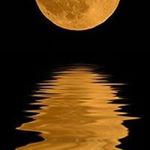 Profile Picture of Brian R Parkhurst (@brparkhurst) on Instagram