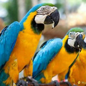 Profile Picture of Jesse Penn (@jessepenn13) on Twitter