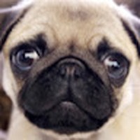 Profile Picture of Benjamin Lowell (@benjamin-lowell-4) on Quora