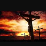 Profile Picture of Brianna Rodvelt (@briannar2003) on Instagram