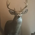 Profile Picture of Jereme Hubbard (@Jereme-Hubbard) on Facebook