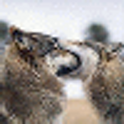 Profile Picture of Bryant Knox (@KnoxBryant) on Twitter