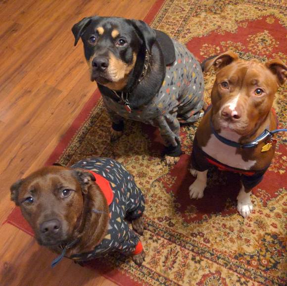 Profile Picture of Alisha Kennerley (@kennerla) on Poshmark