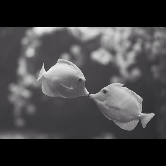 Profile Picture of Jen Zyla (@gennifer8) on Poshmark