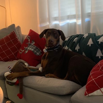 Profile Picture of Devin Ballard (@DevinBa28243472) on Twitter