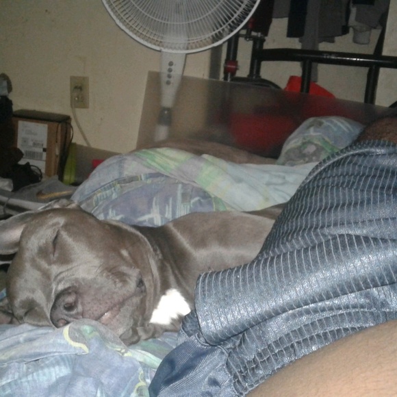 Profile Picture of James Greer (@jamesg978) on Poshmark