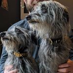 Profile Picture of Maud and Lenny (@maudandlenny) on Instagram