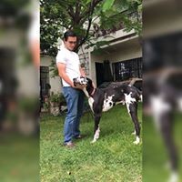 Francois Collet - Quora Profile Picture of Francois Collet (@francois-collet-2) on Quora