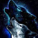 Profile Picture of Andrew Raymer (@shadowspark714) on Instagram