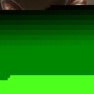 Profile Picture of Wesley Tillis (@216415429) on Myspace