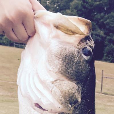 Profile Picture of Jon G Maddox (@JonGMaddox4) on Twitter