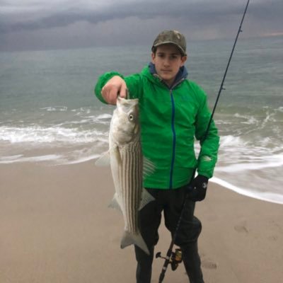 Profile Picture of Michael Scheer (@MichaelScheer14) on Twitter