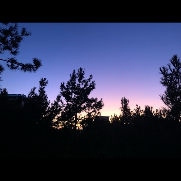 Profile Picture of Audrey Dofelmier (@audreydofelmier) on Poshmark