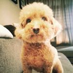 Profile Picture of Steve Ong (@steve.ongkr) on Instagram