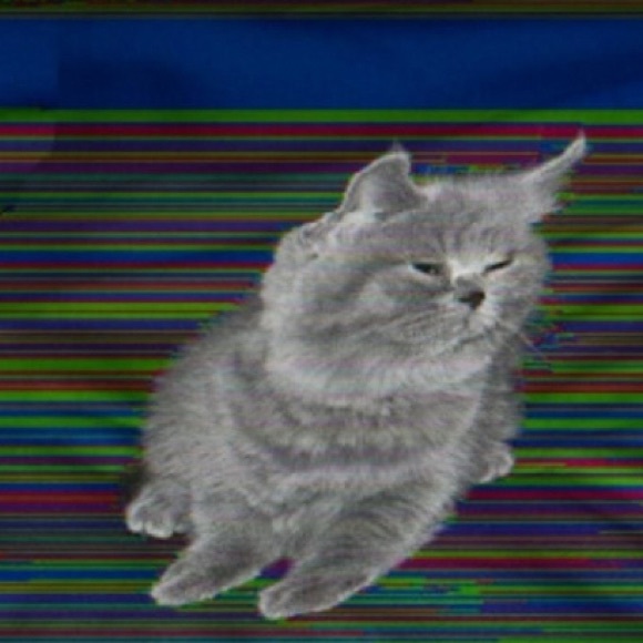 Profile Picture of Casey Fonash (@cfonash1) on Poshmark