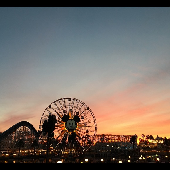 Profile Picture of David Lau (@davidlau7) on Poshmark