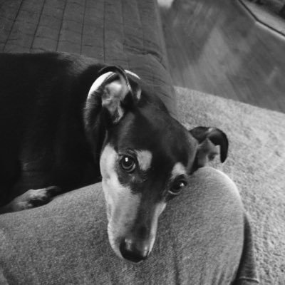 Profile Picture of Jeremy (@CasadosJeremy) on Twitter