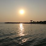 Profile Picture of Daniel Tamura (@tamuradaniel) on Instagram