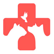 Profile Picture of Dr Mehrdad Karimi (@DrMehrdadKarimi) on Youtube