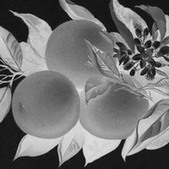 Profile Picture of Eric Atwell (@ericatwell_) on Twitter