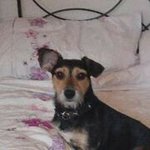 Profile Picture of Stacie Wade (@wadestacie) on Instagram