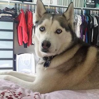 Profile Picture of John Tat (@john.tat.528) on Facebook