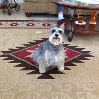Profile Picture of Al Baca (@@AlBaca_17) on Twitter