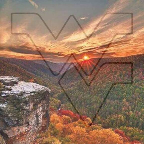 Profile Picture of Michael Stevens (@michaelsteve684) on Poshmark