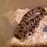 Profile Picture of Matthew Galvan (@matthew-galvan-33) on Quora