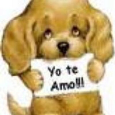 Amorosa - Twitter Profile Picture of Amorosa (@luz_vaca) on Twitter