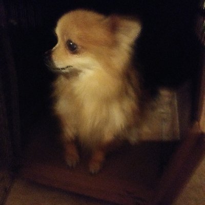 Profile Picture of Dorothy Decker (@Dorothy10299636) on Twitter