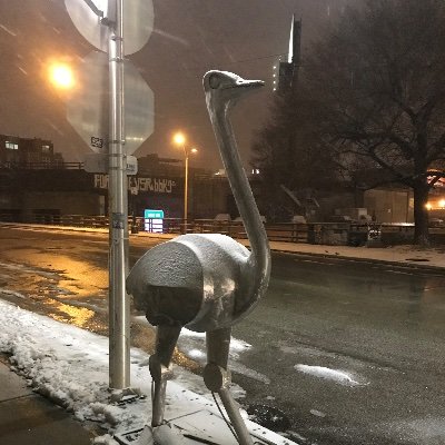 Profile Picture of Brad Bukowski (@BradBukowski) on Twitter