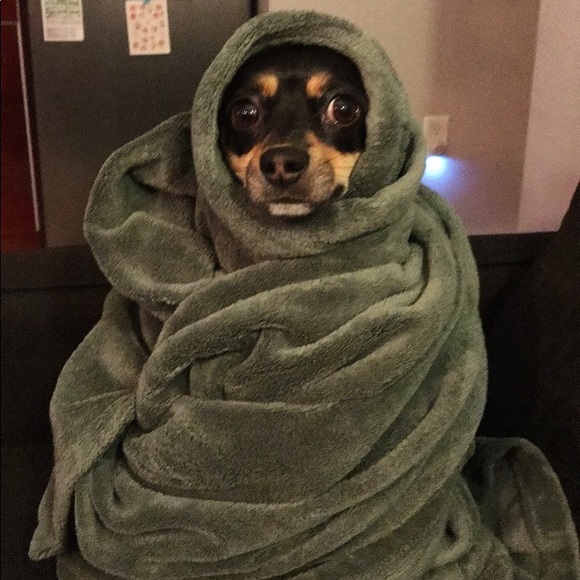 Profile Picture of Laura Zic (@lauraz000) on Poshmark