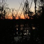 Profile Picture of Josh Rowan (@josh_rowan_82) on Instagram