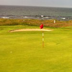 Profile Picture of Neil McPherson (@nelsonmcp) on Instagram