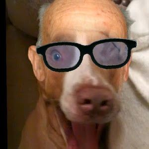 Profile Picture of stevenployer (@stevenployer) on Tiktok