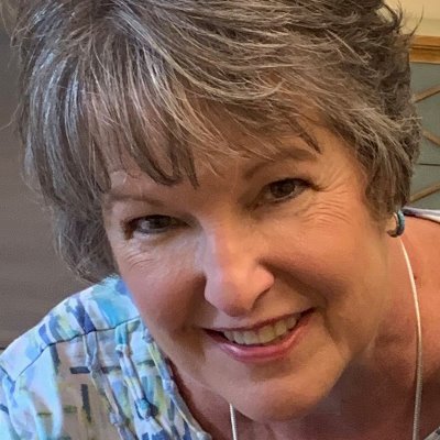 Profile Picture of MaryAnn DeSantis (@MaryAnnDeSantis) on Twitter