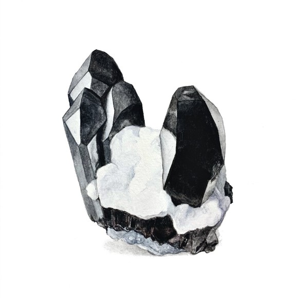 Profile Picture of Tama Higuchi (@yukimarunyan) on Poshmark