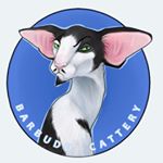 Profile Picture of Alexander Baranov (@barbudo_cattery) on Instagram