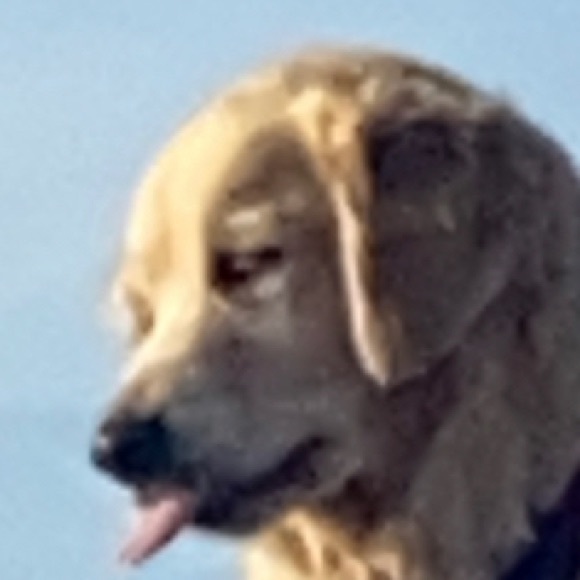 Profile Picture of Kyla Hagenbach (@kylaaa1438) on Poshmark