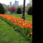 Profile Picture of helmi_rantalazw (@helmi_rantalazw) on Instagram