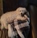 Profile Picture of Robin O'Neill (@robin.oneill.963) on Facebook