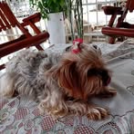 Daniel Marsiglia - Facebook Profile Picture of Daniel Marsiglia (@daniel.marsiglia.908) on Facebook