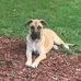 Profile Picture of Spencer Holmes (@spencer.holmes.731) on Facebook