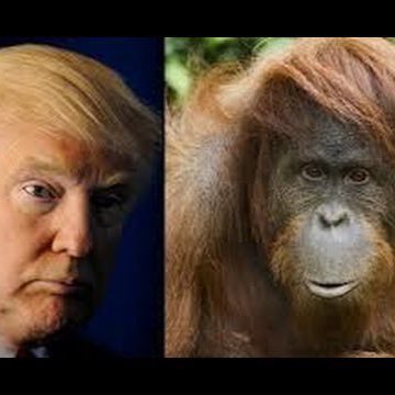 Profile Picture of Jeremy Sinn (@jeremy_sinn) on Twitter