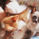 Profile Picture of william miguel hinteregger (@william12rapha05) on Instagram