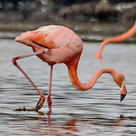 Profile Picture of Barbara Walsh (@bwalsh384) on Flickr