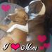 Profile Picture of Marsha Gilbert (@marsha.gilbert.520) on Facebook