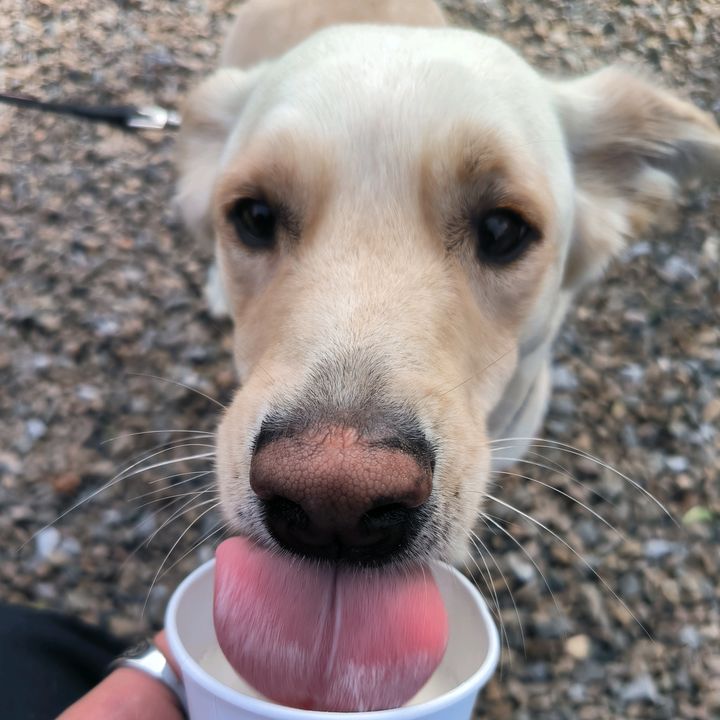 Profile Picture of Taja & André (@andrebausw) on Tiktok